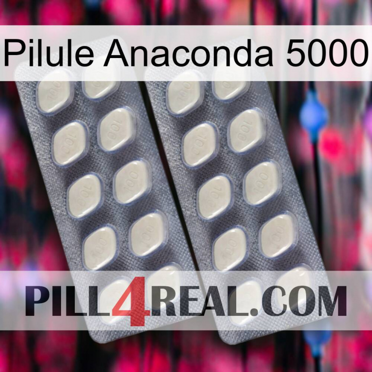 Anaconda 5000 Pill 07
